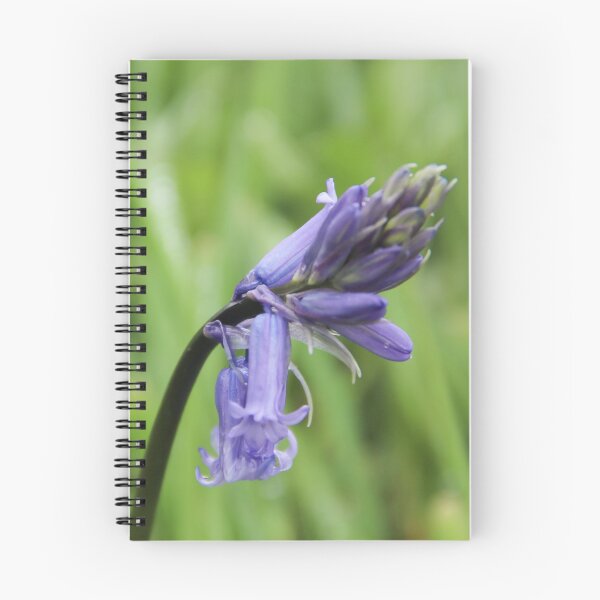 Item preview, Bluebell designed and sold by Northern Pix.