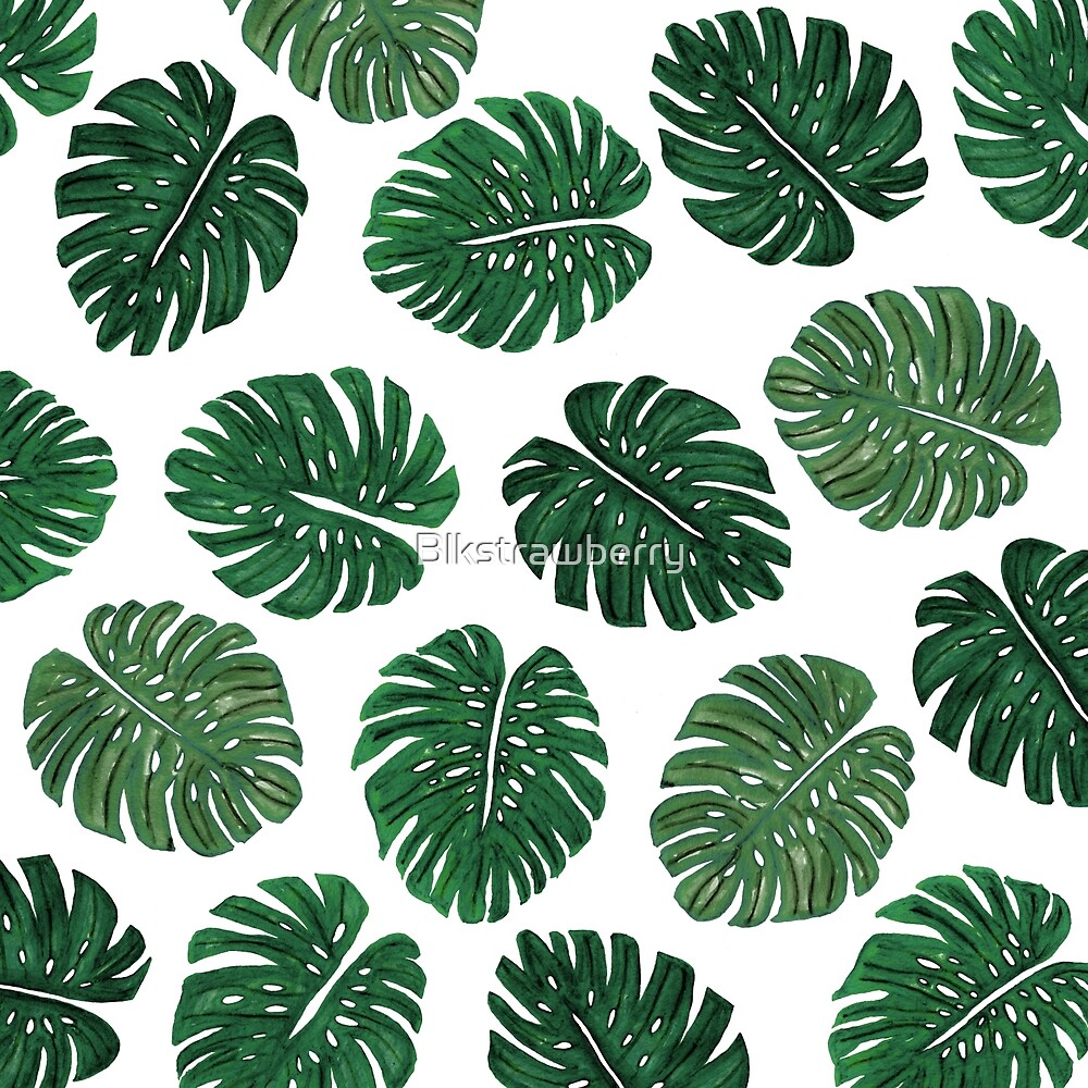 "Tropical Hand Painted Swiss Cheese Plant Leaves" by Blkstrawberry