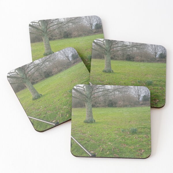 Item preview, Calle de la ciudad claro árboles y flores de invierno. designed and sold by Andrew Hopgood.