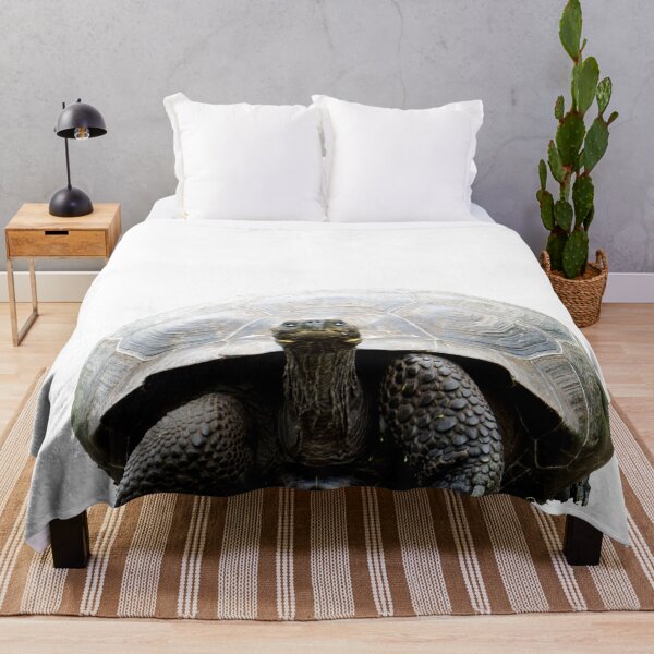 Item preview, Harry the Tortoise photo designed and sold by Nostrathomas66.