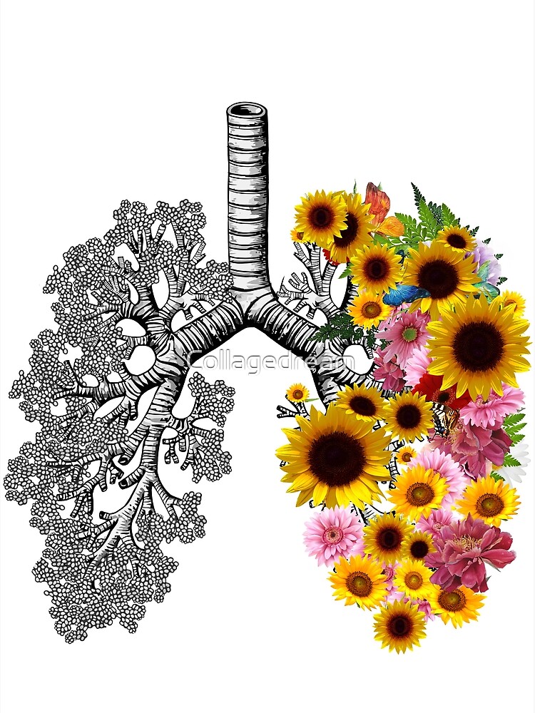 Tarjetas de felicitación «conciencia del cáncer de pulmones, girasoles y  margaritas florales, anatomía, acuarela» de Collagedream | Redbubble