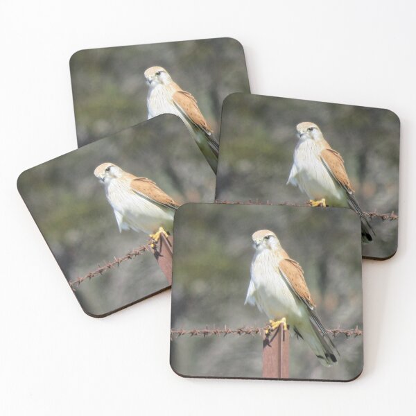 Item preview, Nankeen Kestrel designed and sold by ferylgirl.