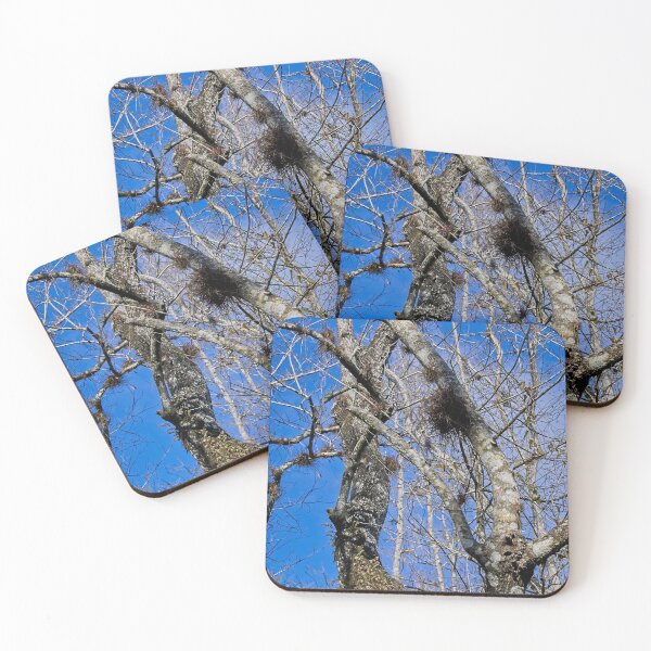 Item preview, Intertwined   designed and sold by John  Kapusta.