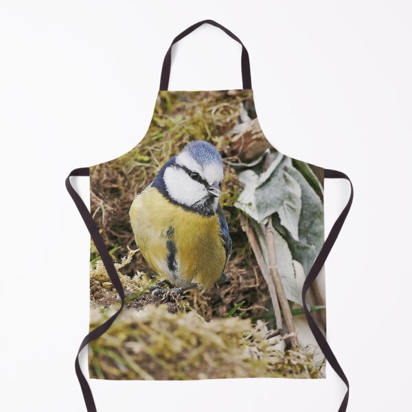 Item preview, r1459/ New Finition - 2021 - mésange b 10 (c)(t) Olavia-Olao Okaio Créations designed and sold by o.okaïo.