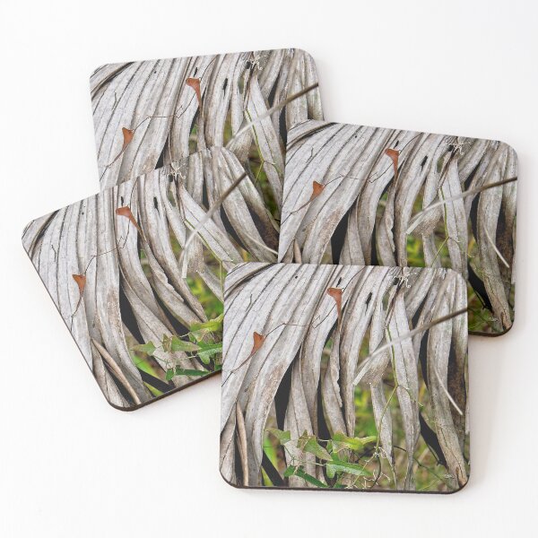 Item preview, All Things Must Pass  designed and sold by John  Kapusta.