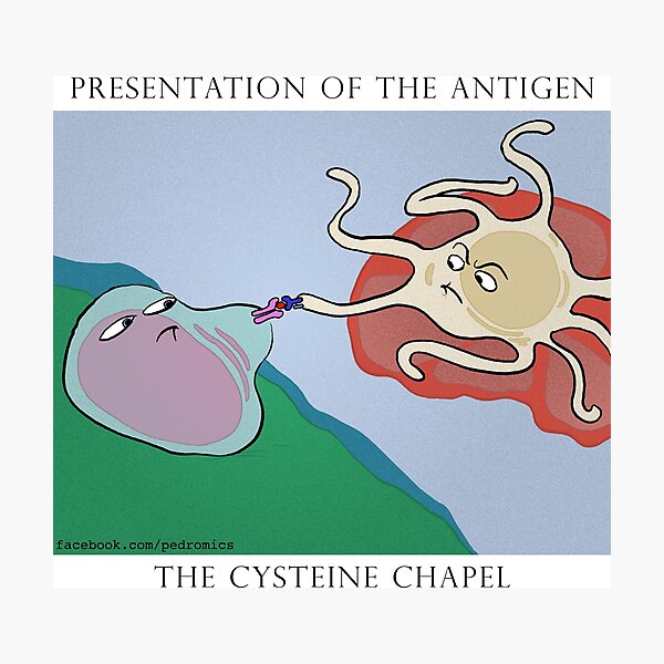 Item preview, Cysteine Chapel designed and sold by Pedro Velica.