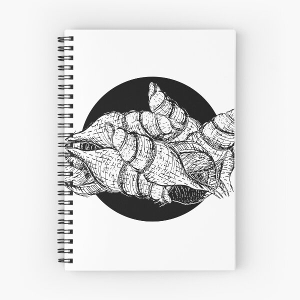 Item preview, Resumen de conchas marinas designed and sold by Marnek.