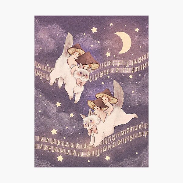 Starlit Cat Adventure - Background Photographic Print