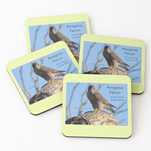 Item preview, Peregrine Falcon in Forbes designed and sold by ferylgirl.