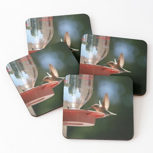 Item preview, Hummingbird Feeding designed and sold by SashaSprite.
