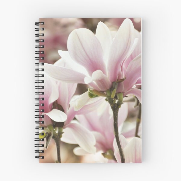 Item preview, Beautiful Pink Magnolia designed and sold by Teresa Chipperfield.