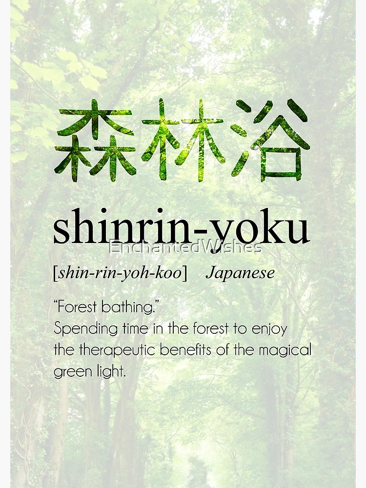 Shinrin-yoku Definition, Beautiful Japanese Word Art