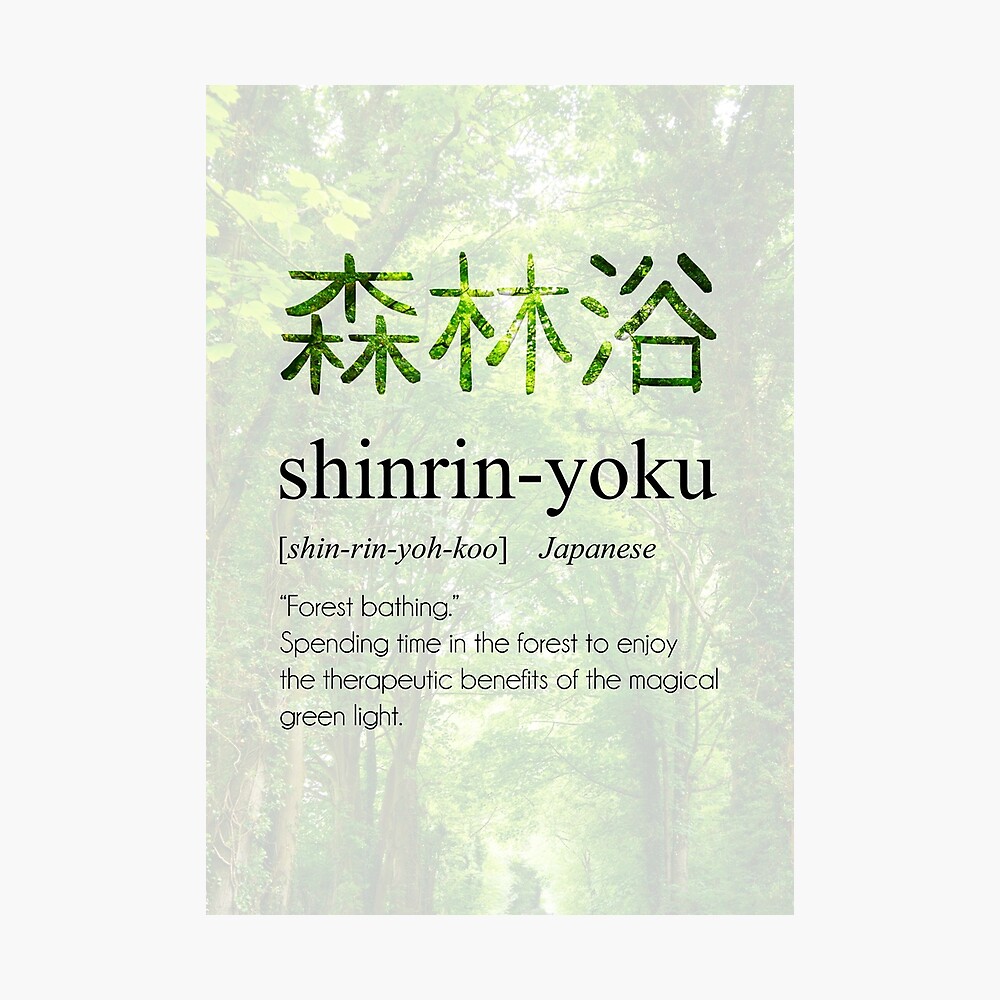 Shinrin-yoku Definition, Beautiful Japanese Word Art
