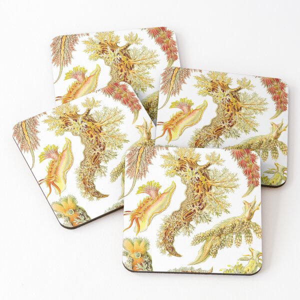 Item preview, Haeckel nudibranchs designed and sold by Ecologos.