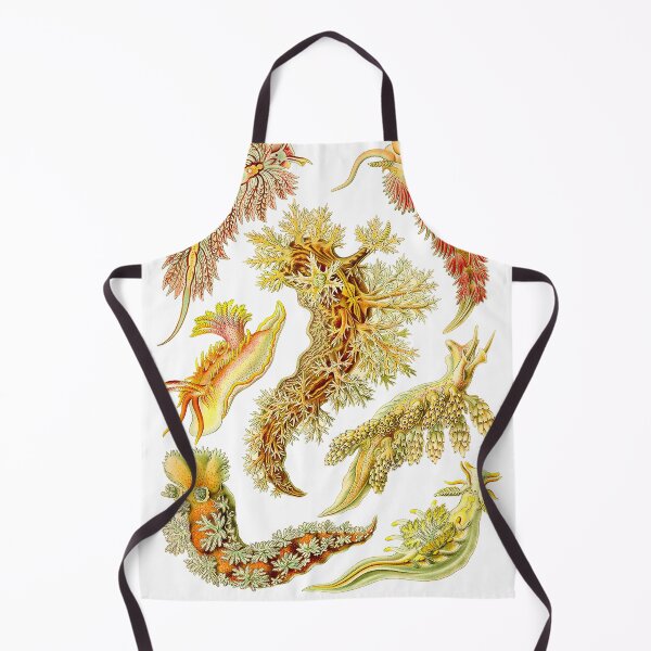 Item preview, Haeckel nudibranchs designed and sold by Ecologos.
