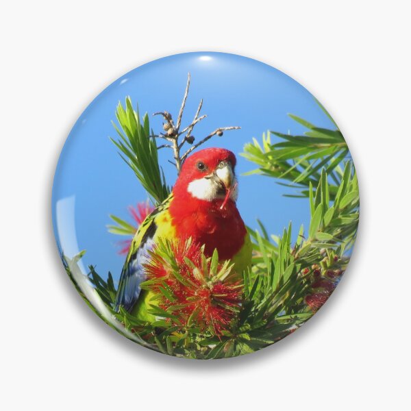 Artikelvorschau, Östliche Rosella entworfen und verkauft von ferylgirl.