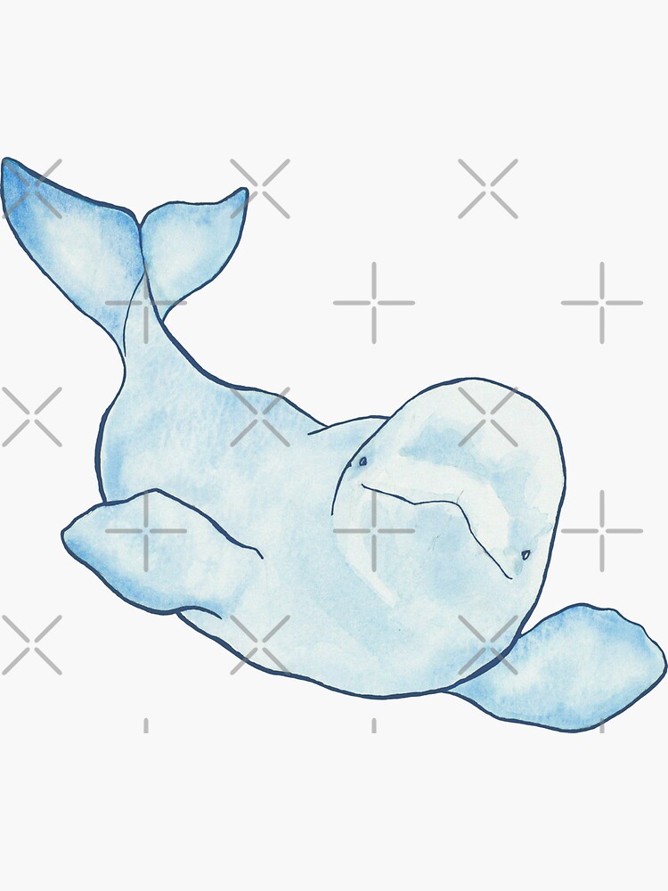 Beluga Wave by amygorns