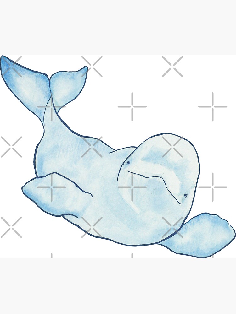 Beluga Wave by amygorns