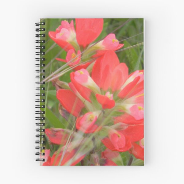 Item preview, On the Road with Indian Paintbrush designed and sold by Navigator.