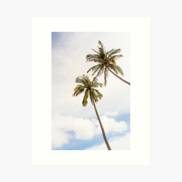 Palm trees, clouds and blue sky Art Print