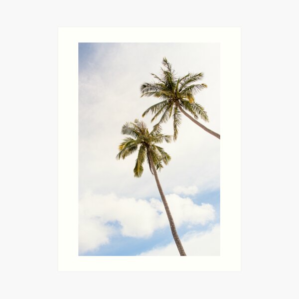 Palm trees, clouds and blue sky Art Print