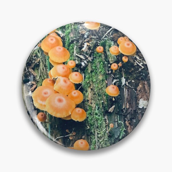 Artikelvorschau, Waldboden entworfen und verkauft von CLlemon.
