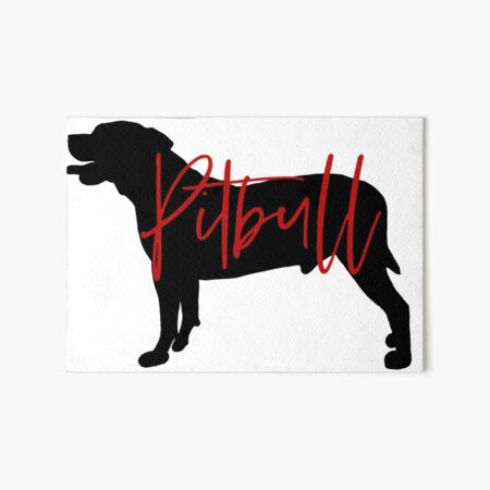 Pitbull Terrier Galeriedruck