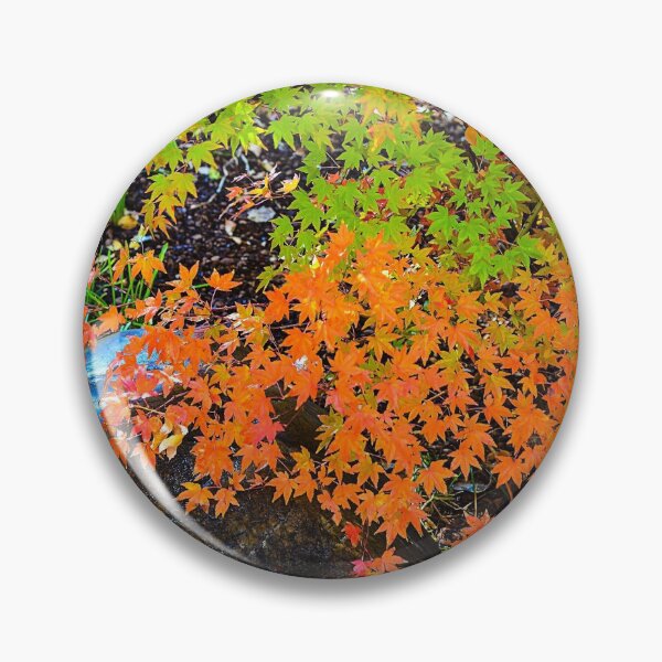 Item preview, Bright red, orange and yellow changing leaves signal fall designed and sold by BoxOfGraphics.