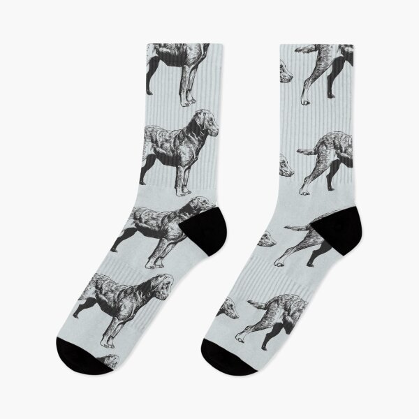 Item preview, Chesapeake Bay Retriever designed and sold by Studio MaC.
