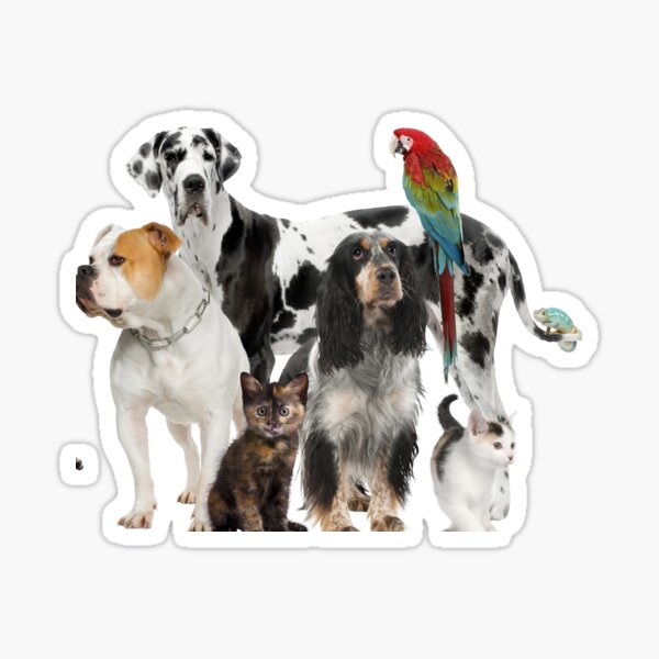 Best friends Sticker