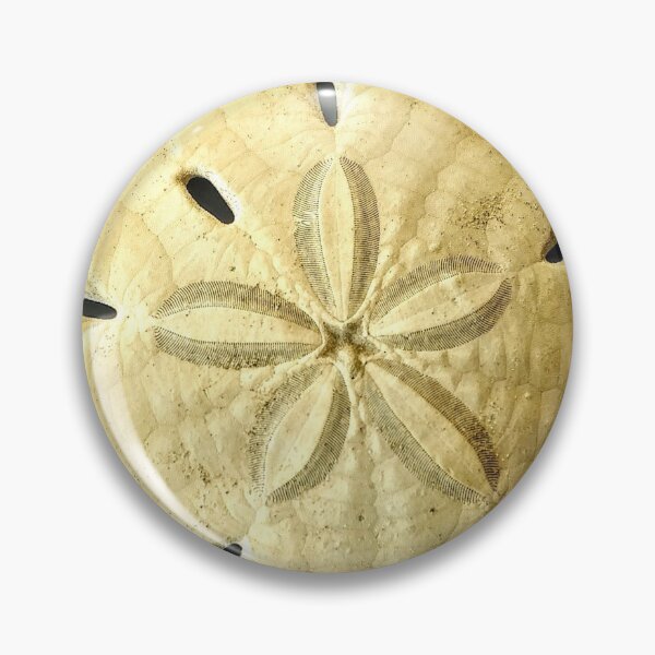 Item preview, SandDollar designed and sold by debravalenti.