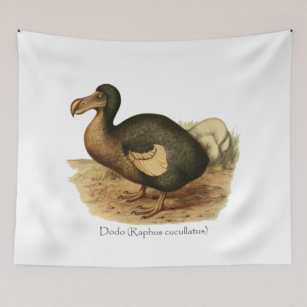 Item preview, Dodo RIP designed and sold by Ecologos.