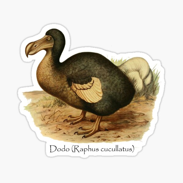Dodo RIP Sticker
