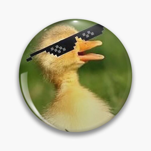 Funny Pfp For Tiktok Duck - bmp-wabbit