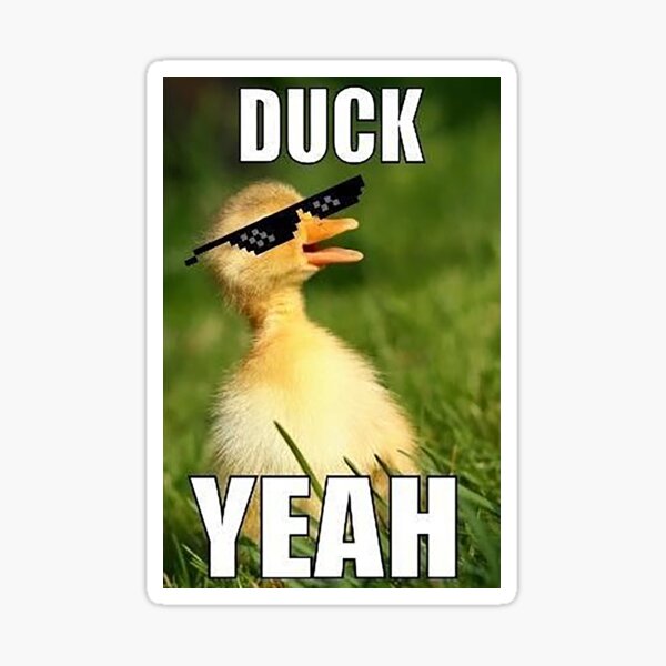 Duck YEAH Sticker for Sale by Professional Memer