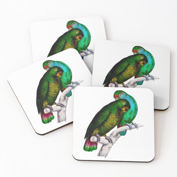 Item preview, Scaly-headed parrot (Pionus maximiliani) designed and sold by Ecologos.