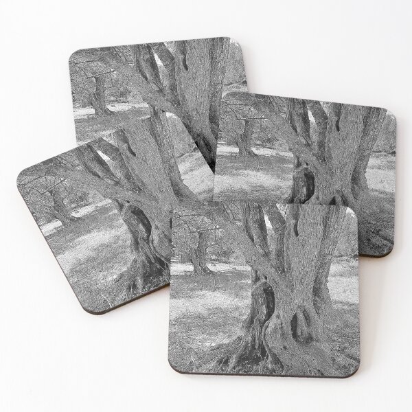 Item preview, Two olive trees, Lefkada, sketch effect designed and sold by paulboizot.