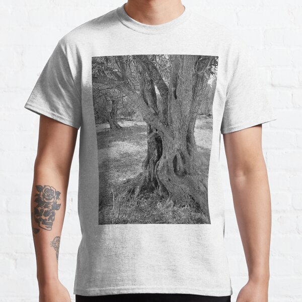 Two olive trees, Lefkada, sketch effect Classic T-Shirt