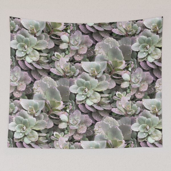 Item preview, Purple and Green Succulent on Rainy Day designed and sold by pieces2treasure.