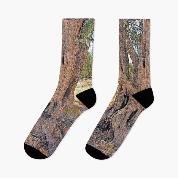 Item preview, Two olive trees, Lefkada, paint effect designed and sold by paulboizot.