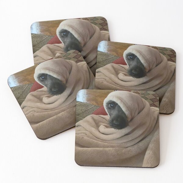 Item preview, Tango the schnoodle wrapped in a blanket designed and sold by Nostrathomas66.