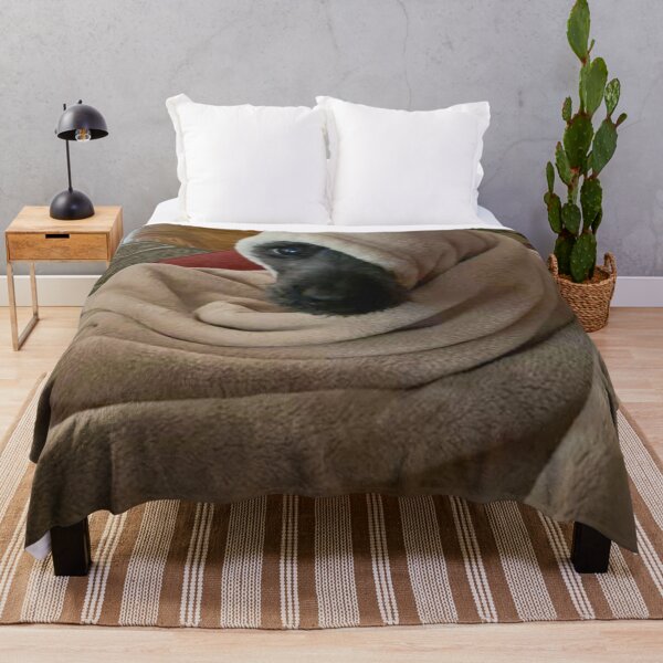 Item preview, Tango the schnoodle wrapped in a blanket designed and sold by Nostrathomas66.