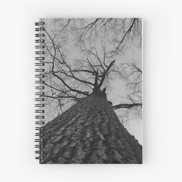 Item preview, The Lone Tree designed and sold by Jonathan Connor.