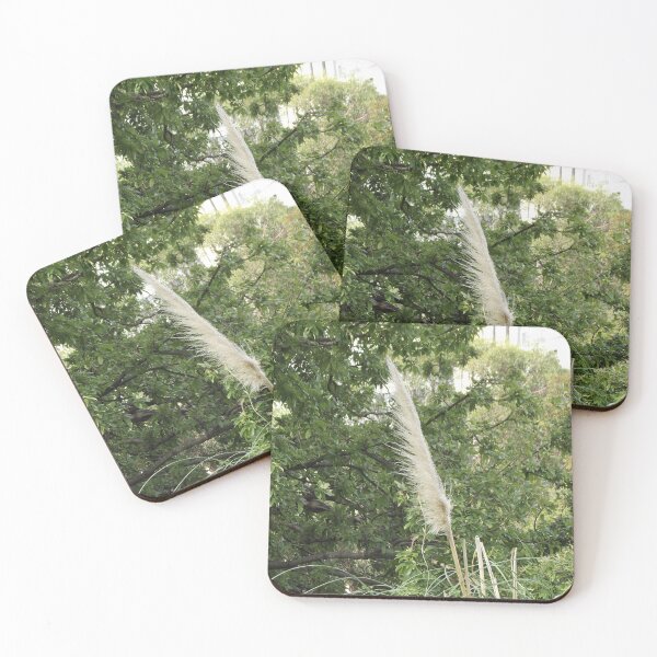 Item preview, Pampas grass designed and sold by greentiger1.