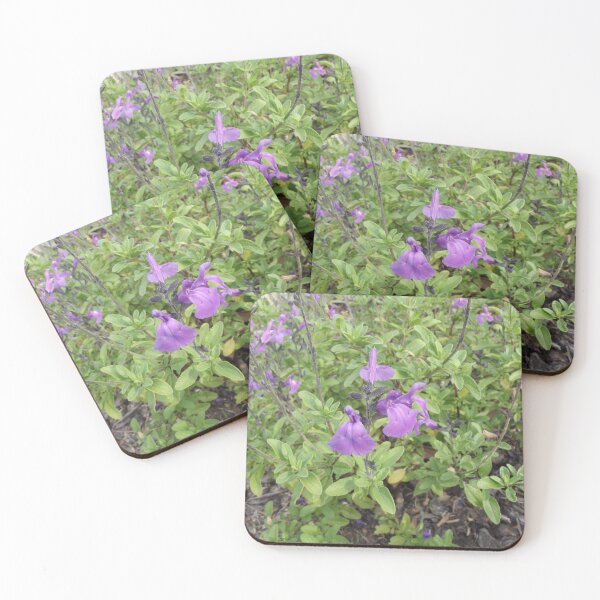 Item preview, Purple salvia designed and sold by greentiger1.