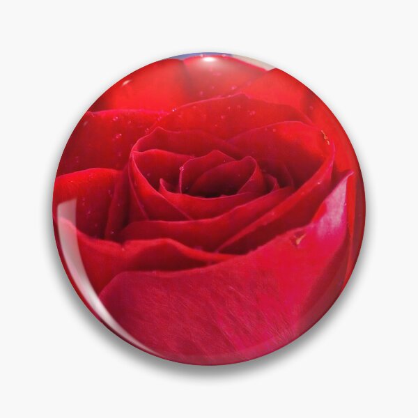 Item preview, Festive Red Rose for Valentine's Day designed and sold by Shelly Gunderson.