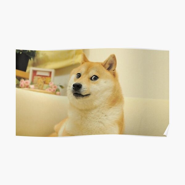 Yellow Funny Doge Posters Redbubble