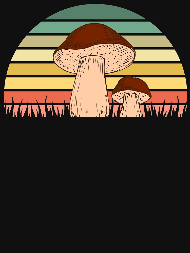 Porcini Mushrooms by ds-4