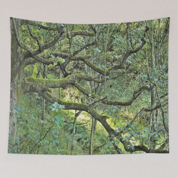 Item preview, Landscapephotography Evergreen Forest designed and sold by CreativeShutter.