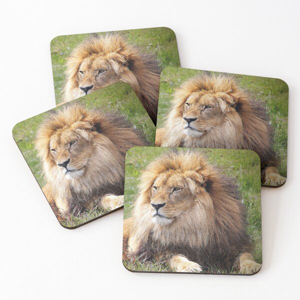 Item preview, Lion Relaxing designed and sold by Phil Le Cren.